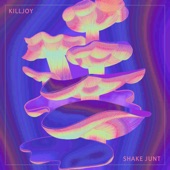 Shake Junt artwork