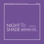 Nightshade (Echo Flute & Bowed Bass) artwork