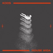 House Wida artwork