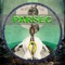 Distant Past - Parsec lyrics