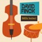 Bassic Instinct (feat. Andy Snitzer) - David Finck lyrics