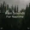 !!!" Rain Sounds for Naptime "!!! album lyrics, reviews, download