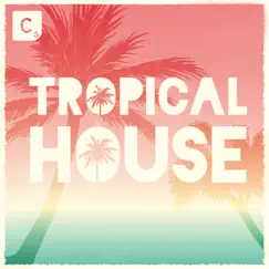 Tropical House by Various Artists album reviews, ratings, credits
