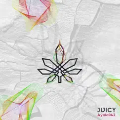 Juicy - Single by Ayala042 album reviews, ratings, credits