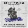 Eye of the Storm (feat. Adam Holzman) - Single album lyrics, reviews, download