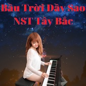 Bầu Trời Đầy Sao artwork