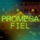 PROMESA FIEL - LO MEJOR