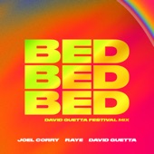 BED (David Guetta Festival Mix) artwork