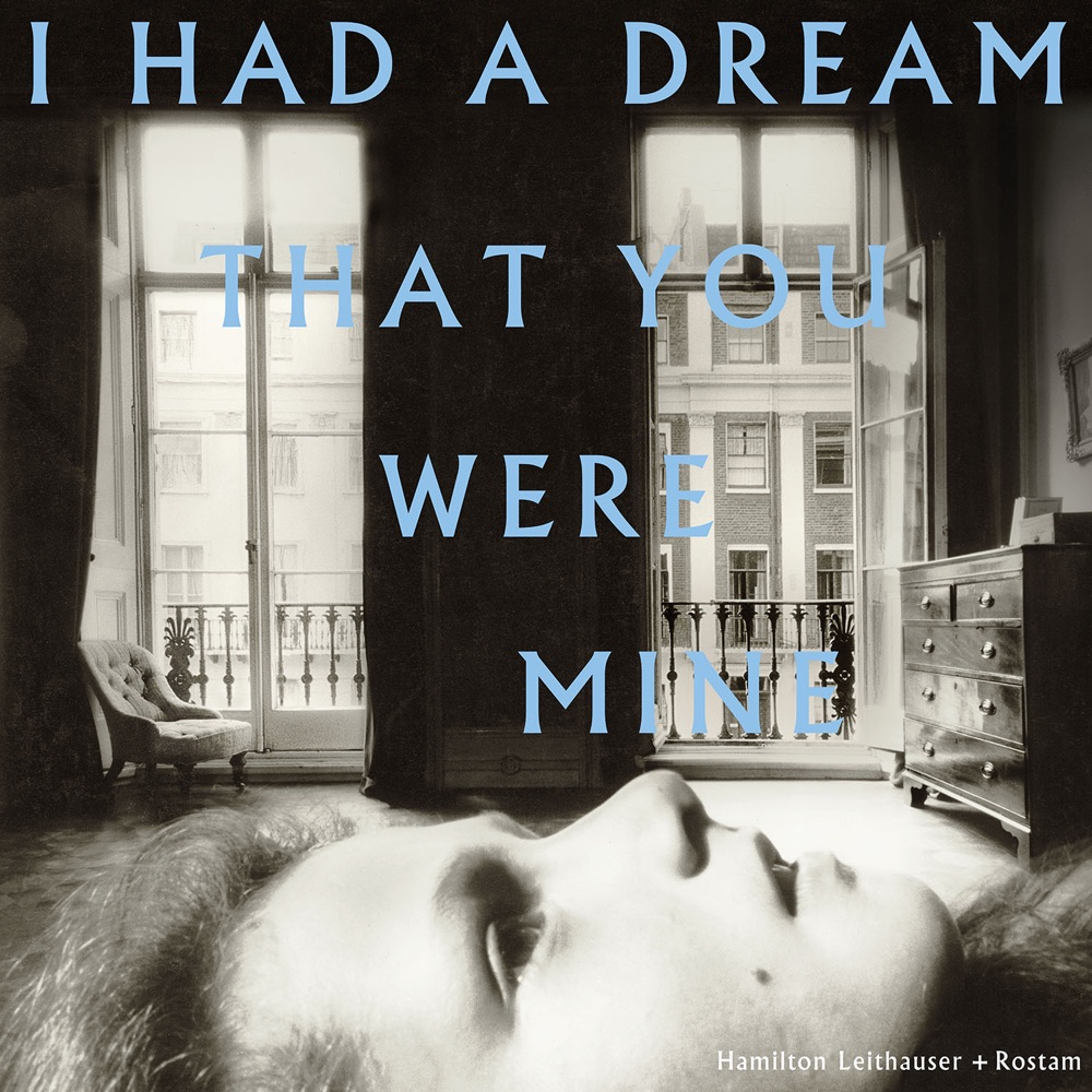 I Had a Dream That You Were Mine by Hamilton Leithauser, Rostam