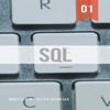 SQL: Beginner Level SQL from the Ground Up: DIY SQL, Book 1 (Unabridged) - Keith Dvorjak