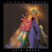 Acid Break artwork