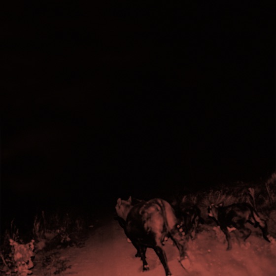 Cover artwork for Dark Circles