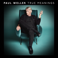 Paul Weller - True Meanings artwork