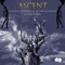 Ascent (feat. Habib Meftah) - Alireza Ghorbani, Le Trio Joubran & Hesam Naseri lyrics