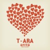 T-ara Winter