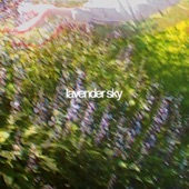 Lavender Sky artwork