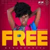 Free (feat. Efya) - Single album lyrics, reviews, download