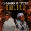 Q-Mark & TpZee - Paris (feat. Afriikan Papi) artwork