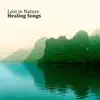 Stream & download Lost in Nature: Healing Songs, Discover, Meditation, Relax, Natural Sounds