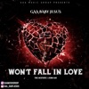 Won't Fall In Love (The Mixtape)