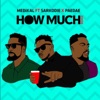 How Much (feat. Sarkodie & Paedae) [Remix] - Single