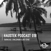 Haustek Podcast 018 (Live) artwork