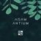 Adamantium - Coalt Art lyrics