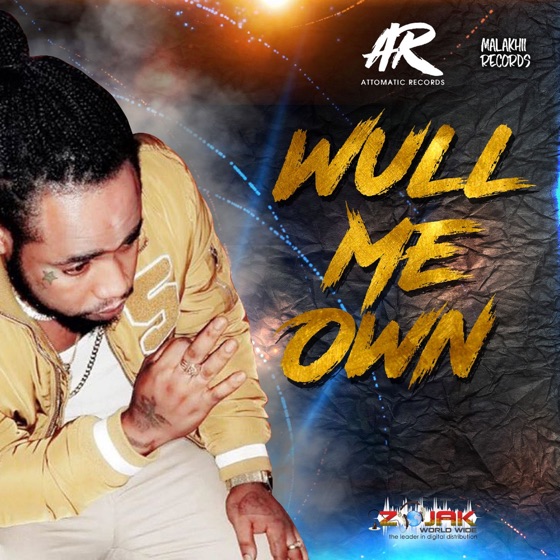Cover artwork for Wull Me Own