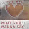 What You Wanna Say (feat. Ollie Wade) [Dub Mix] song lyrics