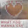 Stream & download What You Wanna Say (feat. Ollie Wade) [Dub Mix]