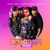 Mami Papi (feat. Karolkonk & Dixson Waz) [Remix] artwork