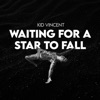 Waiting for a Star to Fall - Single