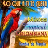 Lo Que a Ti Te Gusta Música Tropical Colombiana Cumbia de Francia