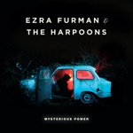 Ezra Furman & The Harpoons - Don't Turn Your Back on Love