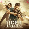 Tiger Zinda Hai (Original Motion Picture Soundtrack)