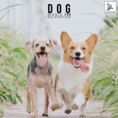 Dog Therapy Music artwork