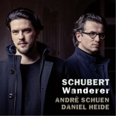 Schubert: Wanderer artwork