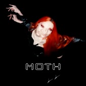 Moth artwork