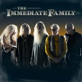 The Immediate Family - Johnny Strikes up the Band (Live) (Bonus)