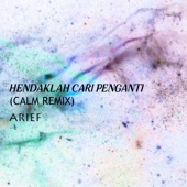 Hendaklah Cari Pengganti (Calm Remix) artwork