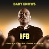 Baby Knows (Vienna Scientists Remixes) - EP