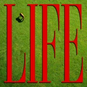 Life artwork