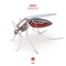 Mosquito - Crocy lyrics