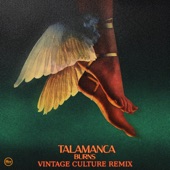 Talamanca (Vintage Culture Remix) artwork