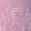 Radiance - EP