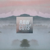 Chillhop Raw Cuts 2 artwork