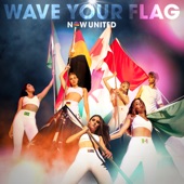 Wave Your Flag artwork