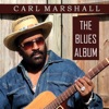 The Blues Album