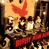 Birdy Nam Nam - Body, Mind, Spirit...