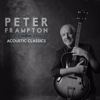 Peter Frampton - Baby, I Love Your Way kunstwerk